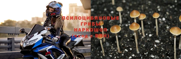 мдпв Майский