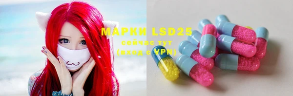 мдпв Майский