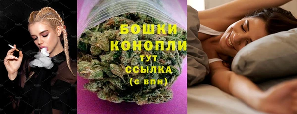 мдпв Майский
