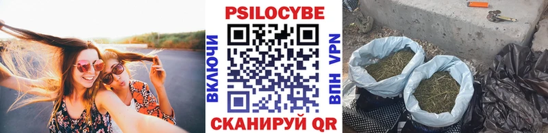 Псилоцибиновые грибы прущие грибы  магазин    Новокузнецк 