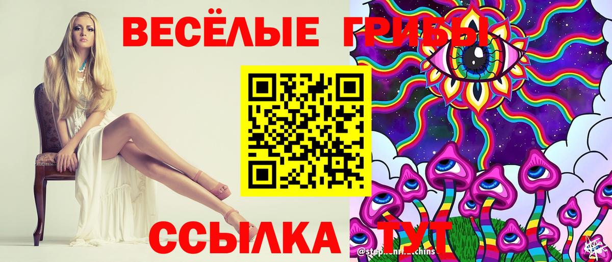Псилоцибиновые грибы GOLDEN TEACHER Новокузнецк