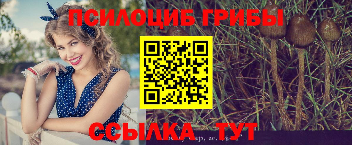 Купить наркотики  COCAIN  МАРИХУАНА  A PVP  НБОМе  Вход с VPN  Конопля  Новокузнецк  Меф  COCAIN 
