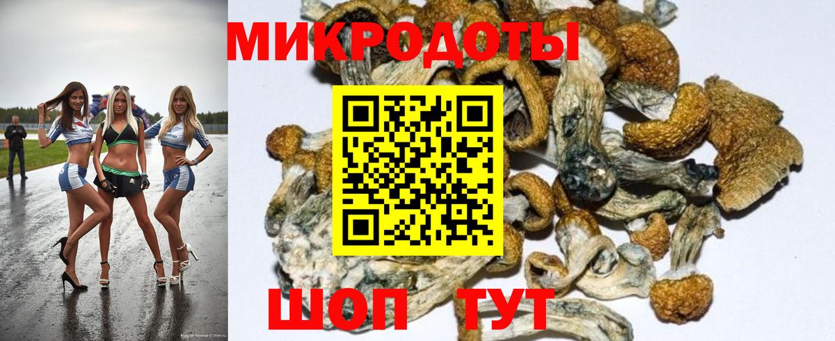 Псилоцибиновые грибы ЛСД  Новокузнецк  Псилоцибиновые грибы GOLDEN TEACHER 