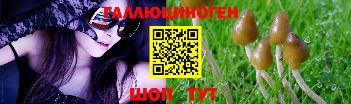 Конопля Новокузнецк