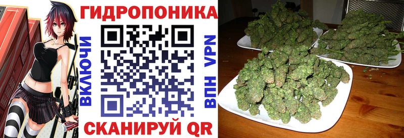 Канабис Ganja Новокузнецк